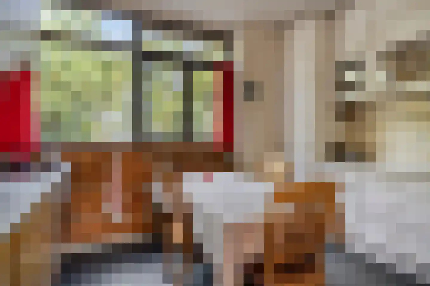 P.C. Hooftlaan 14 Hengelo thumbnail 15