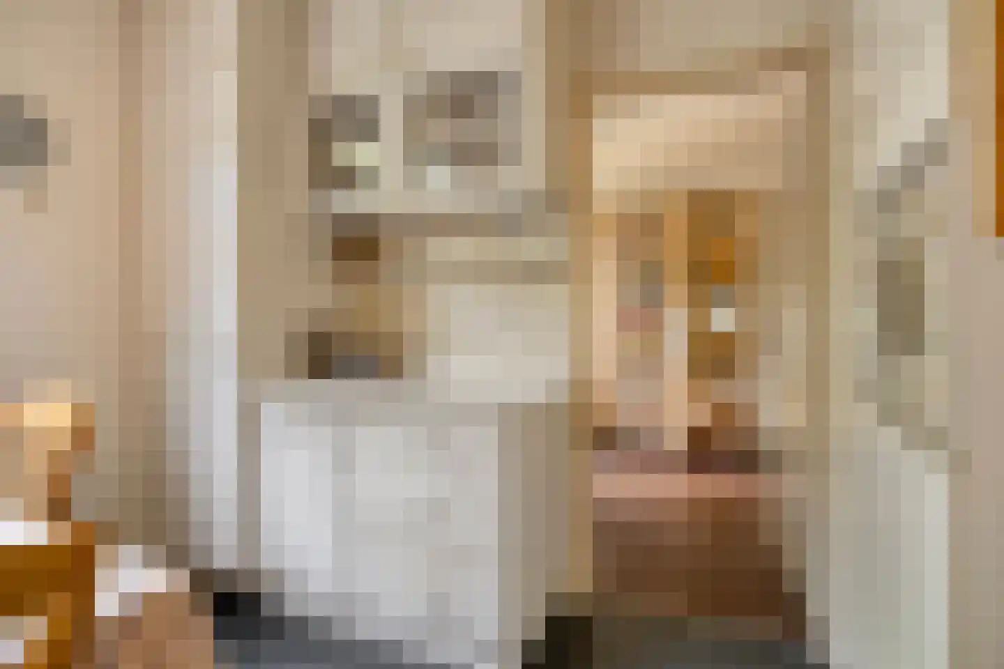 P.C. Hooftlaan 14 Hengelo thumbnail 16
