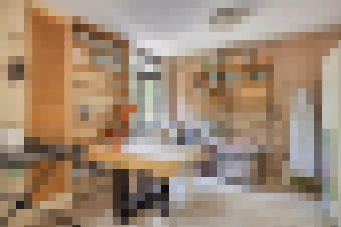 P.C. Hooftlaan 14 Hengelo thumbnail 22