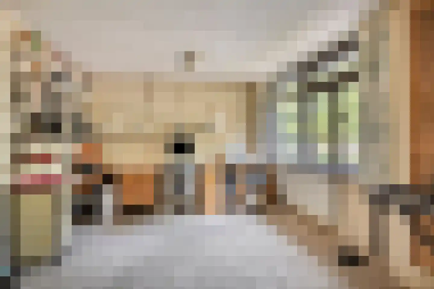 P.C. Hooftlaan 14 Hengelo thumbnail 23
