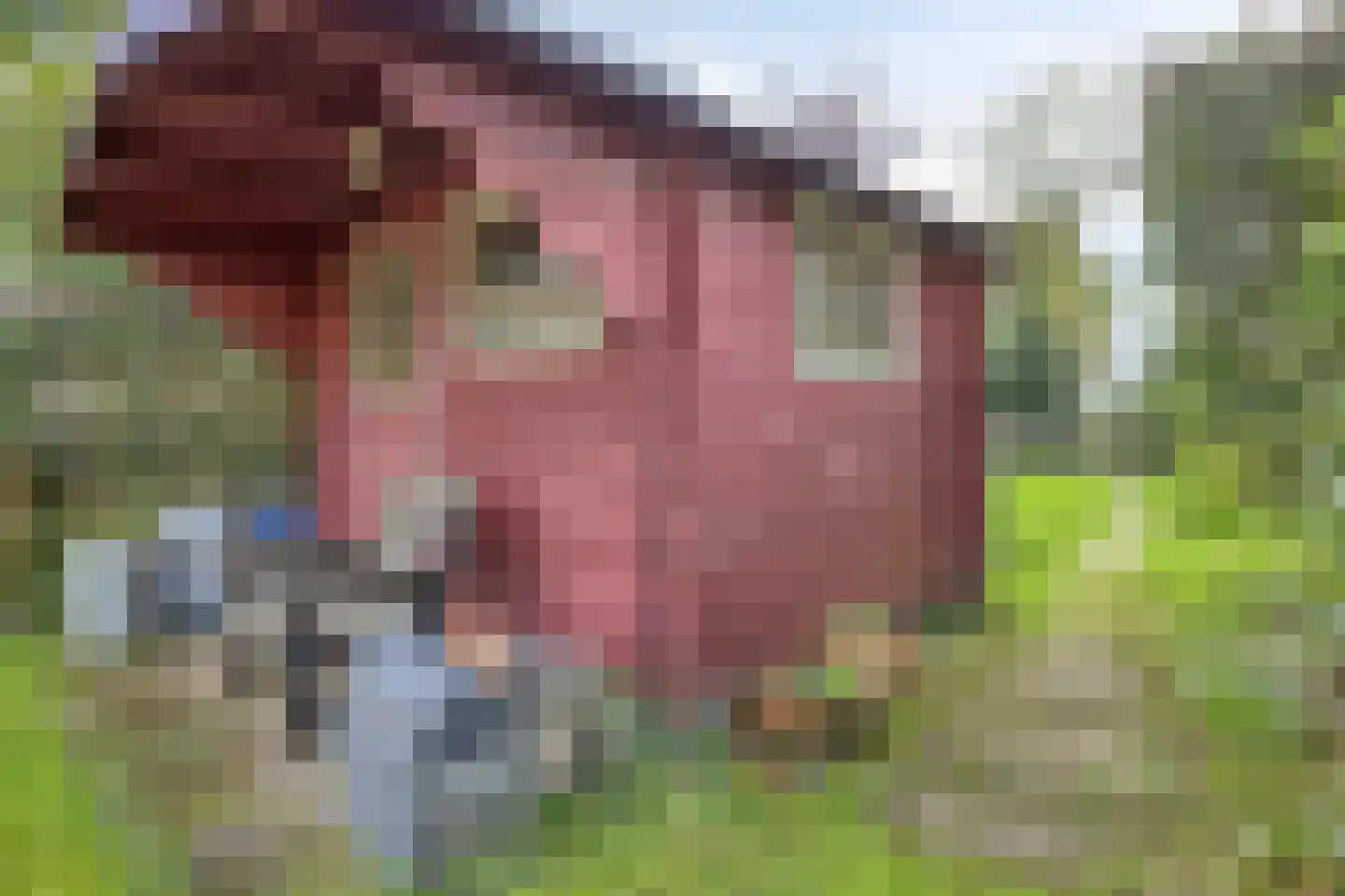P.C. Hooftlaan 14 Hengelo thumbnail 32