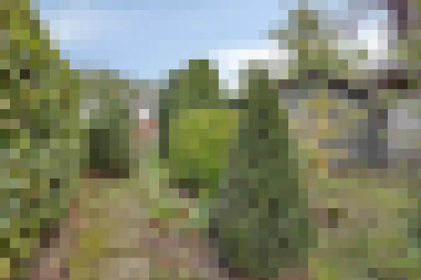 P.C. Hooftlaan 14 Hengelo thumbnail 35