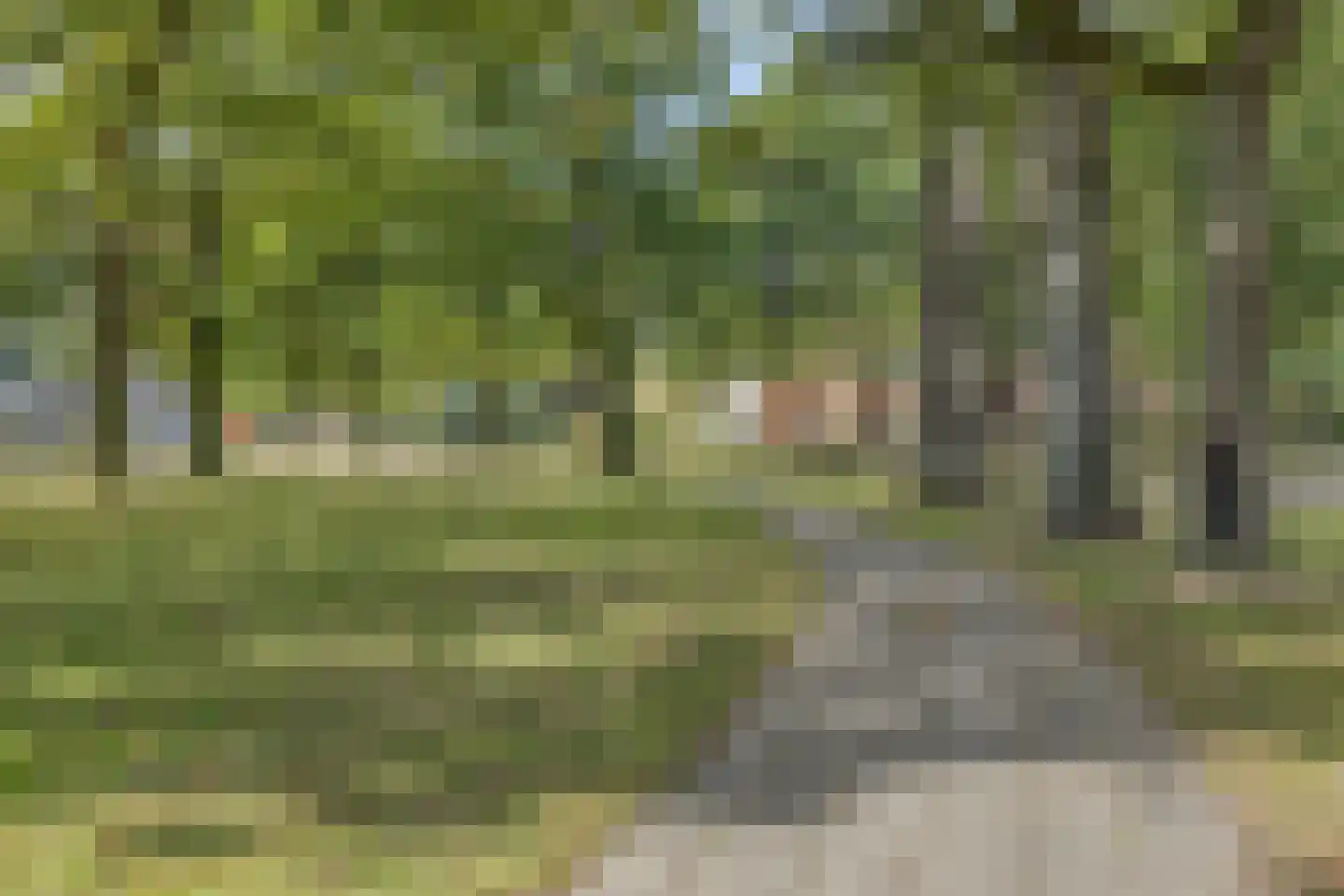 P.C. Hooftlaan 14 Hengelo thumbnail 36