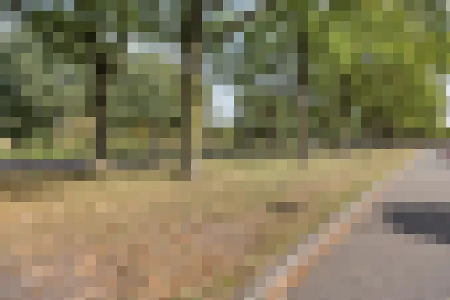 P.C. Hooftlaan 14 Hengelo thumbnail 37