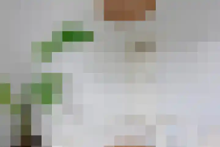 P.C. Hooftlaan 14 Uithoorn thumbnail 23