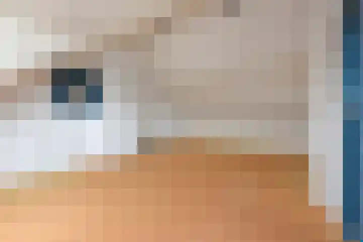 P.C. Hooftlaan 14 Uithoorn thumbnail 32