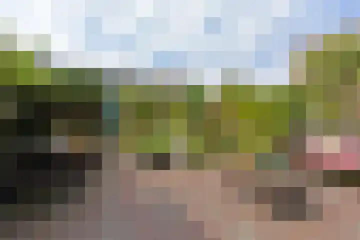P.C. Hooftlaan 14 Uithoorn thumbnail 34