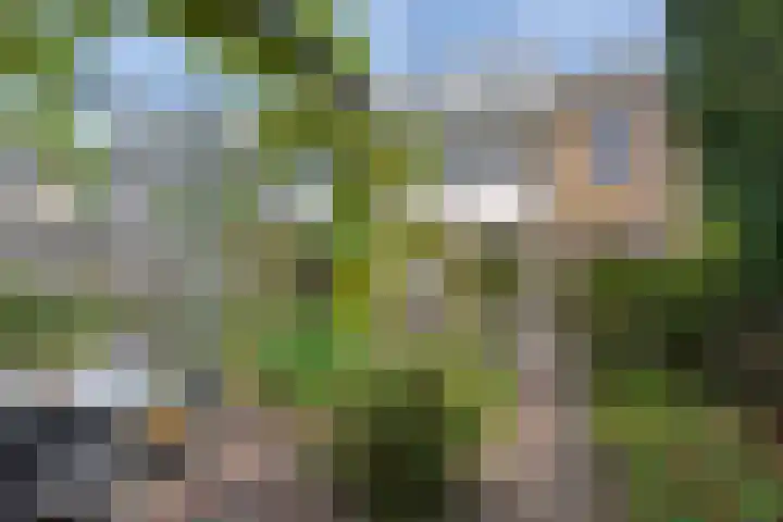P.C. Hooftlaan 14 Uithoorn thumbnail 36