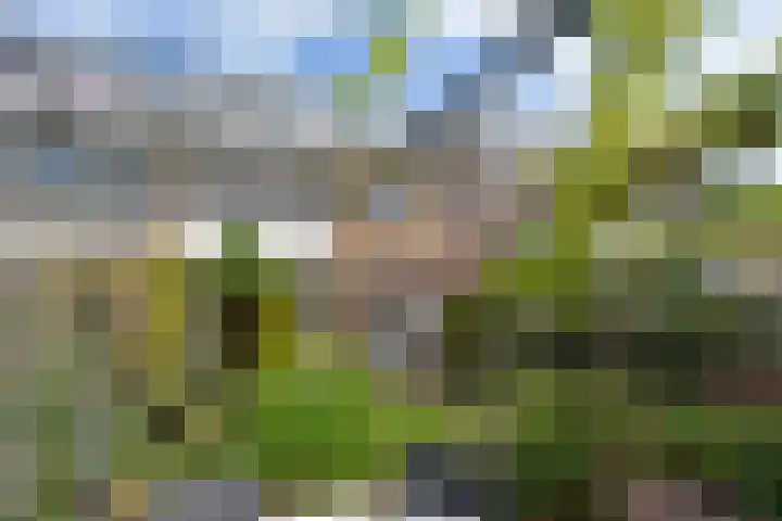 P.C. Hooftlaan 14 Uithoorn thumbnail 37