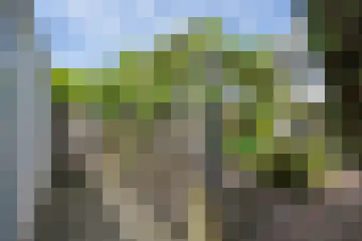 P.C. Hooftlaan 14 Uithoorn thumbnail 38