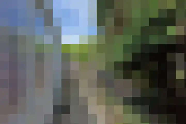 P.C. Hooftlaan 14 Uithoorn thumbnail 39