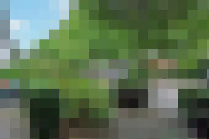P.C. Hooftlaan 14 Uithoorn thumbnail 40