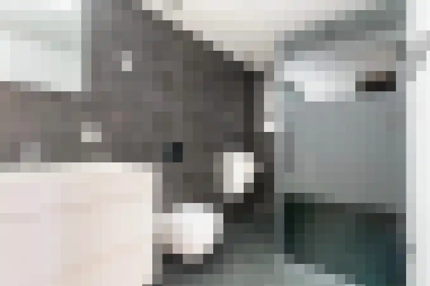 P.C. Hooftlaan 18 Hengelo thumbnail 31