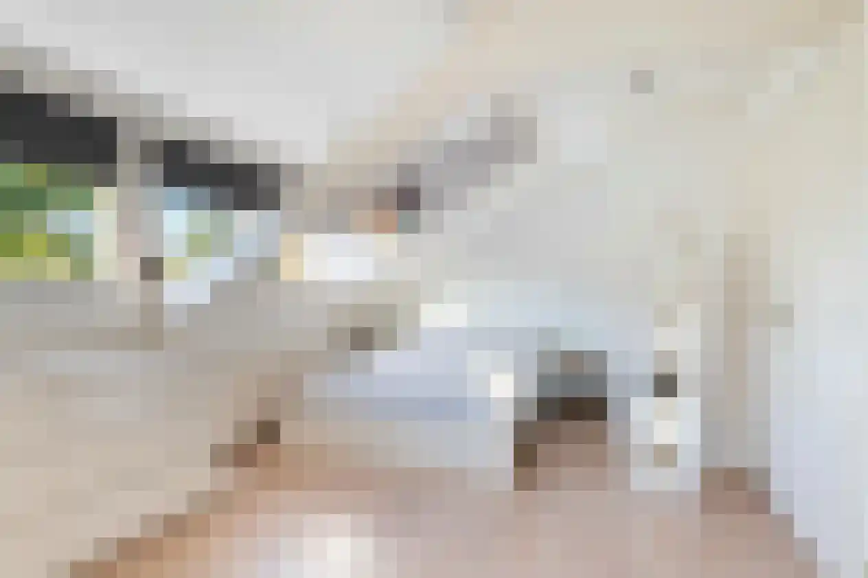P.C. Hooftlaan 18 Hengelo thumbnail 35