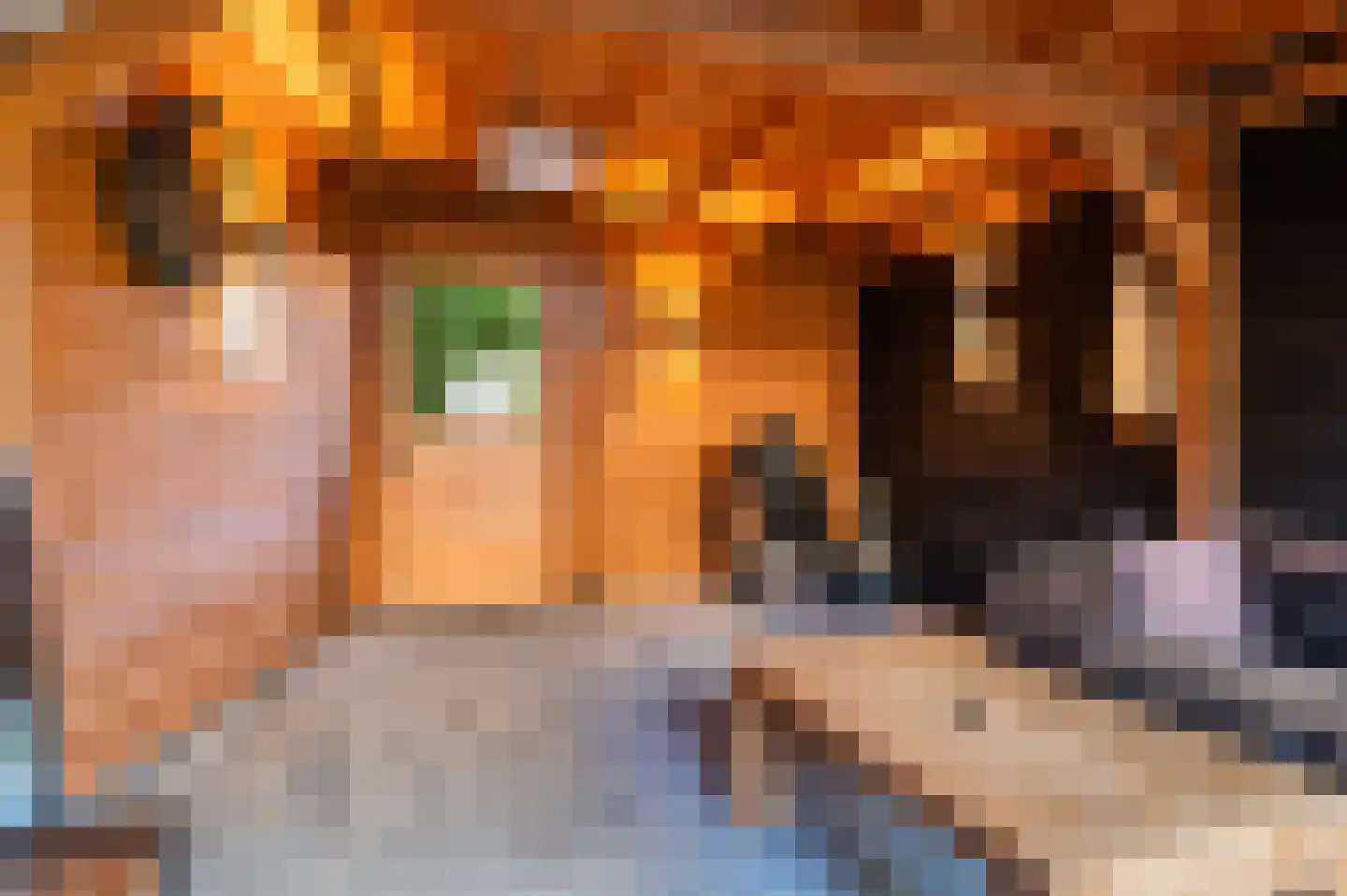 P.C. Hooftlaan 18 Hengelo thumbnail 41