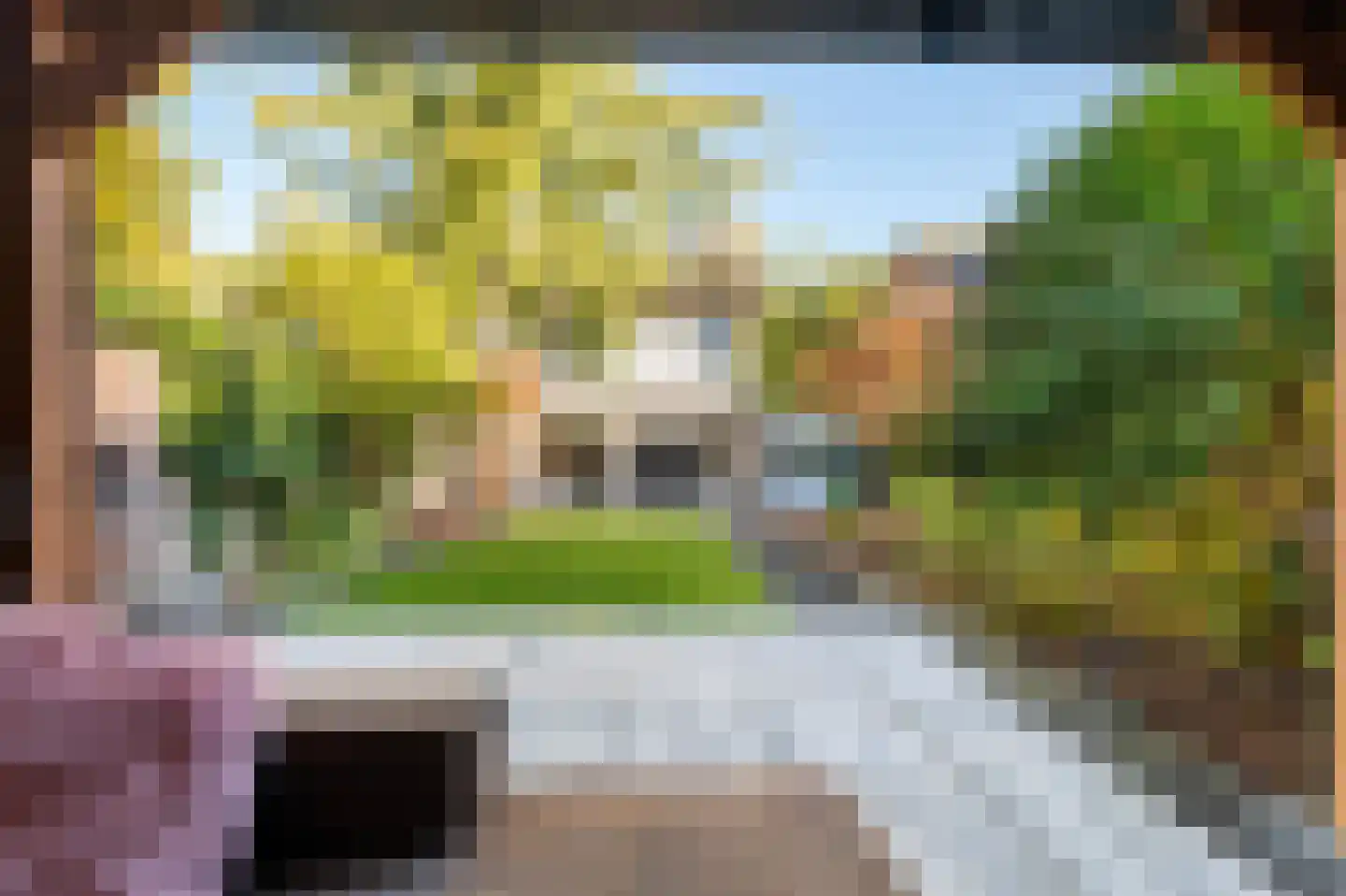 P.C. Hooftlaan 18 Hengelo thumbnail 43