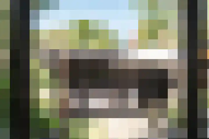 P.C. Hooftlaan 19 Driehuis NH thumbnail 11