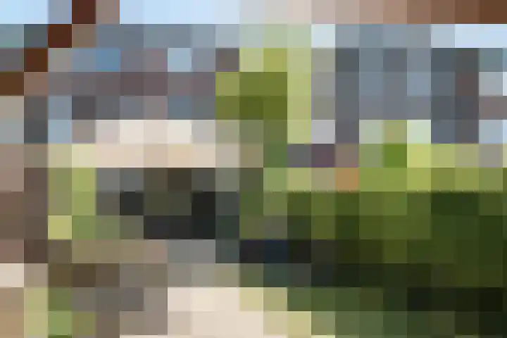 P.C. Hooftlaan 19 Driehuis NH thumbnail 13