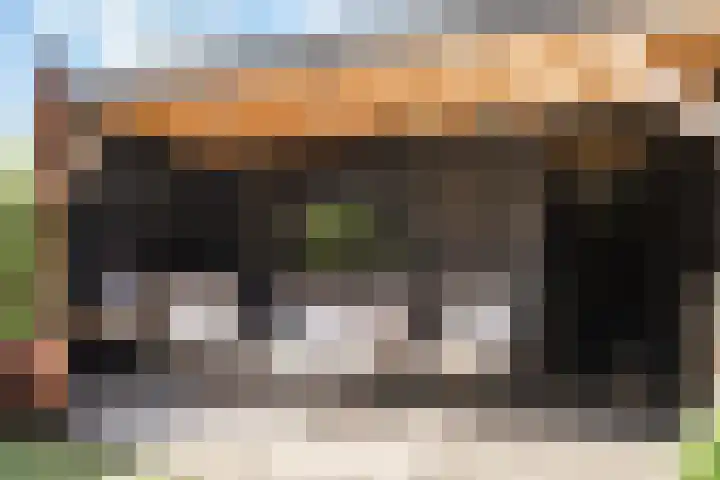 P.C. Hooftlaan 19 Driehuis NH thumbnail 15