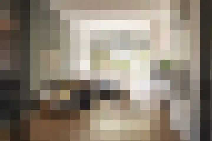 P.C. Hooftlaan 19 Driehuis NH thumbnail 16