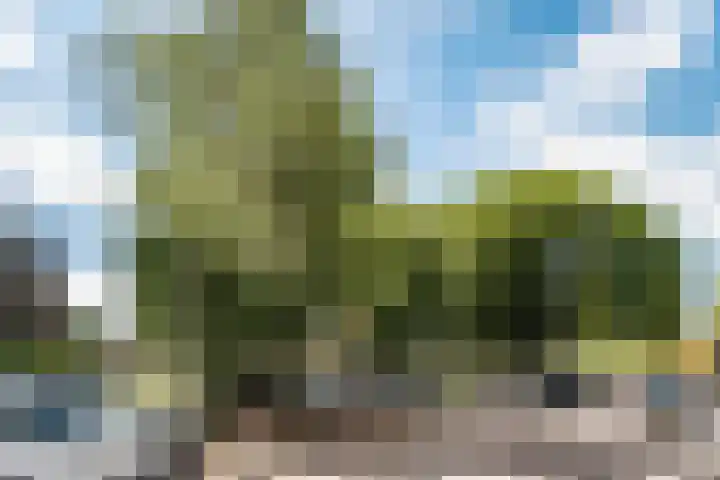 P.C. Hooftlaan 19 Driehuis NH thumbnail 33