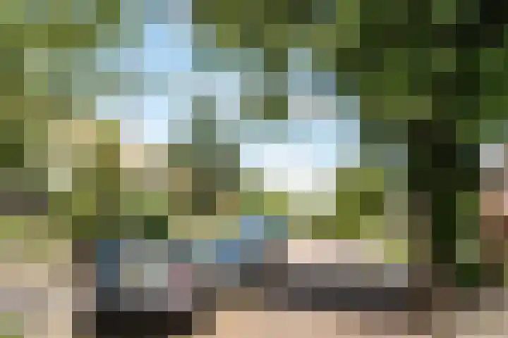 P.C. Hooftlaan 19 Driehuis NH thumbnail 34