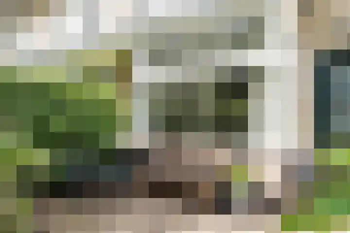 P.C. Hooftlaan 19 Driehuis NH thumbnail 7