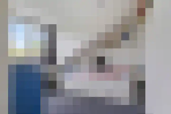 P.C. Hooftlaan 20 Soest thumbnail 26