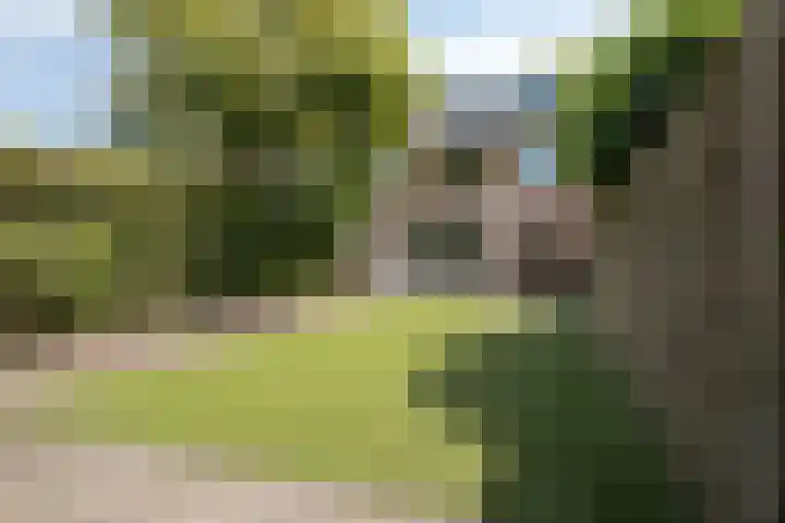P.C. Hooftlaan 20 Soest thumbnail 32