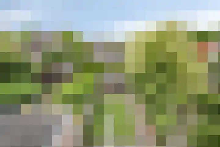 P.C. Hooftlaan 20 Soest thumbnail 33