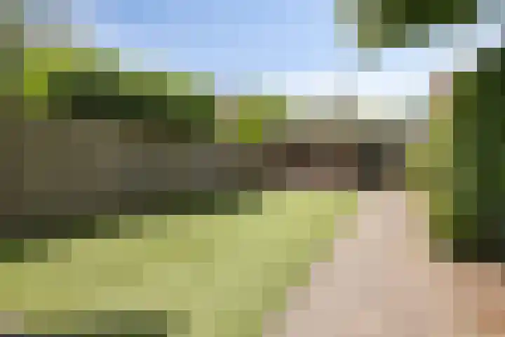 P.C. Hooftlaan 20 Soest thumbnail 37