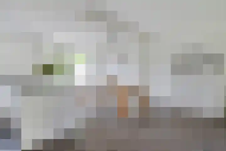 P.C. Hooftlaan 20 Soest thumbnail 7