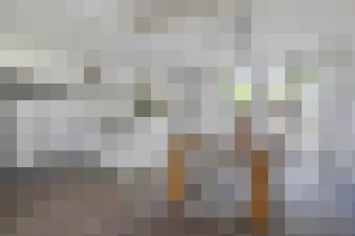 P.C. Hooftlaan 20 Soest thumbnail 8