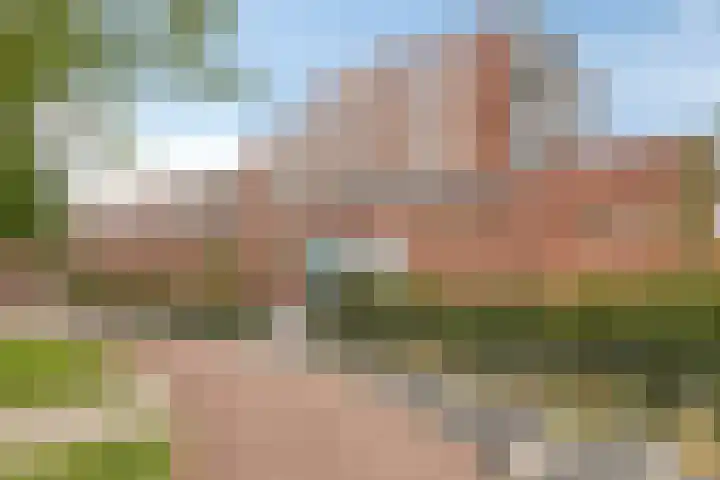P.C. Hooftlaan 24 Heerhugowaard thumbnail 36