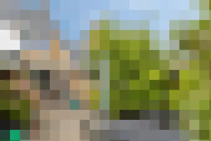 P.C. Hooftlaan 24 Heerhugowaard thumbnail 5