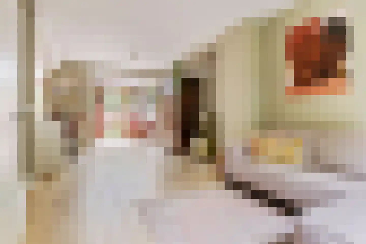 P.C. Hooftlaan 26 Groningen thumbnail 14