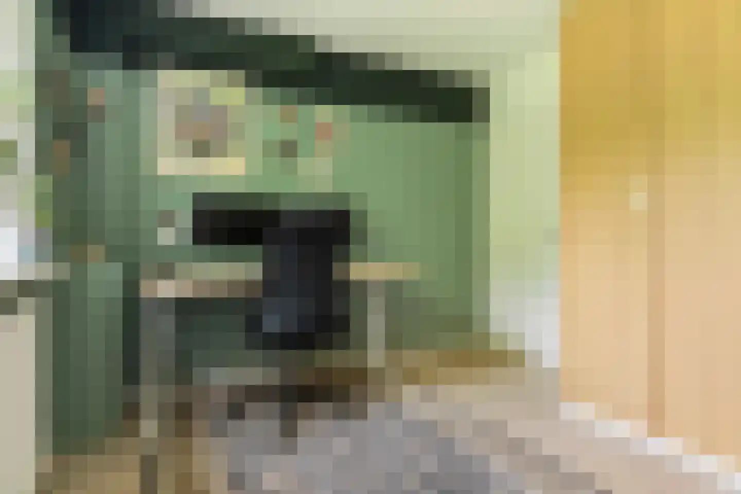 P.C. Hooftlaan 26 Groningen thumbnail 30