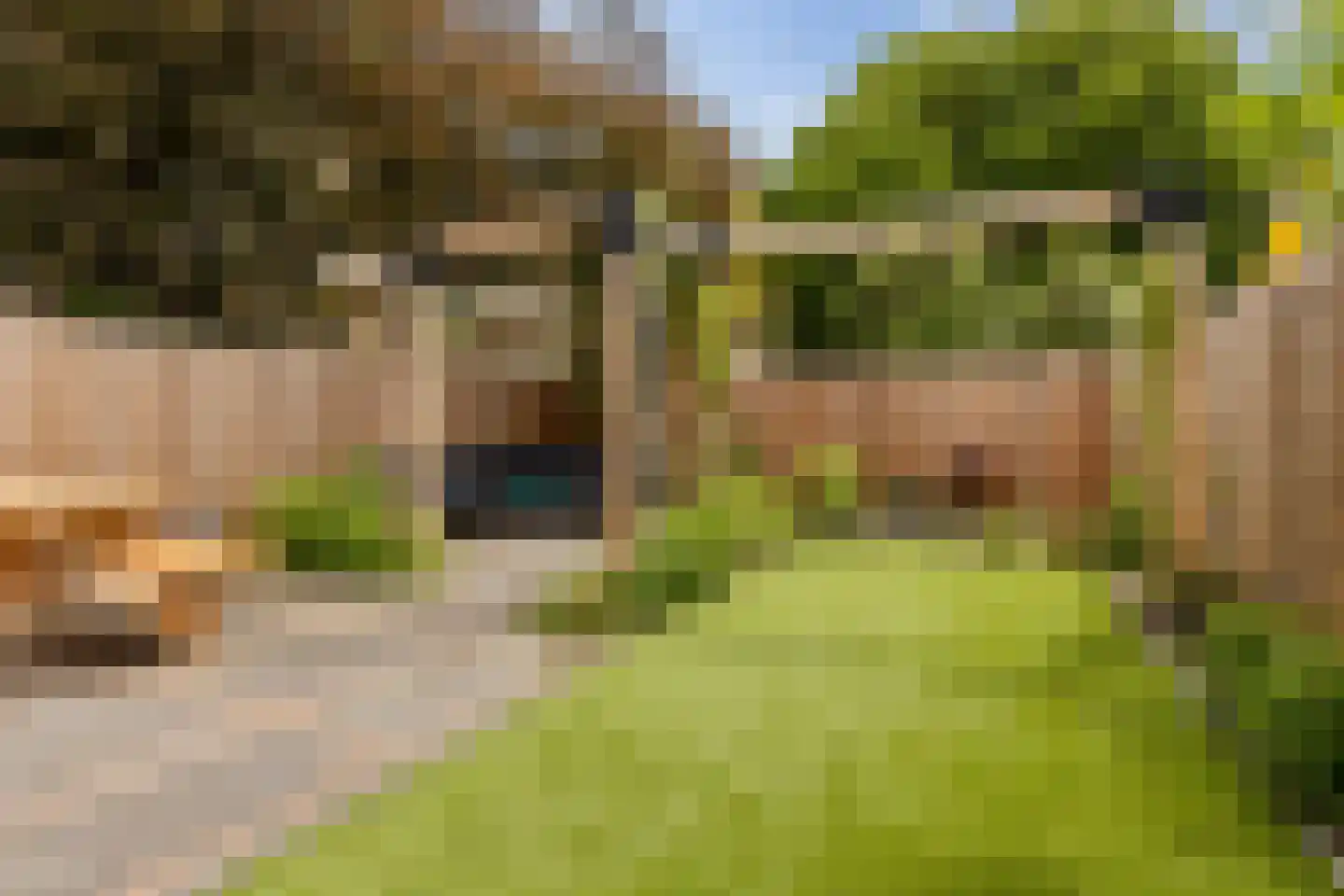P.C. Hooftlaan 26 Groningen thumbnail 41