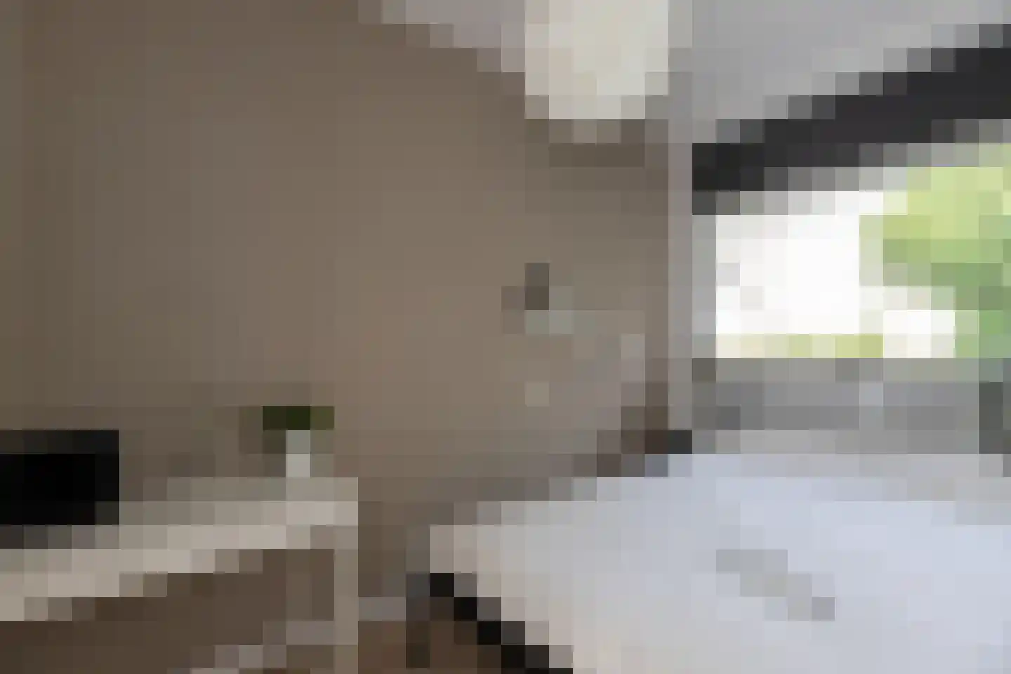 P.C. Hooftlaan 26 Papendrecht thumbnail 27