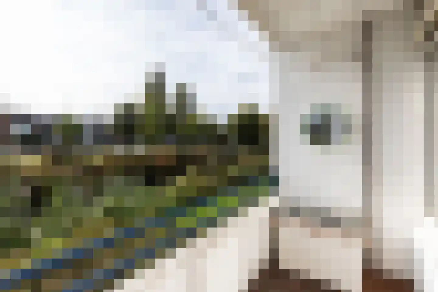 P.C. Hooftlaan 26 Papendrecht thumbnail 8