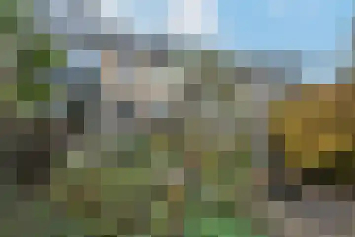 P.C. Hooftlaan 26 Uithoorn thumbnail 17