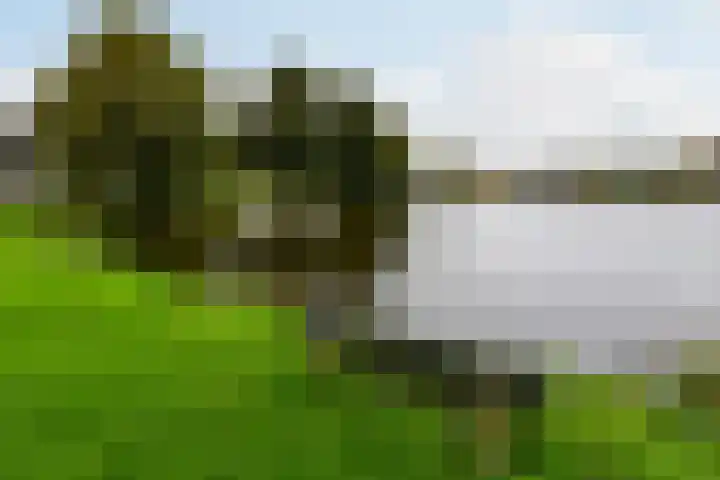 P.C. Hooftlaan 26 Uithoorn thumbnail 20