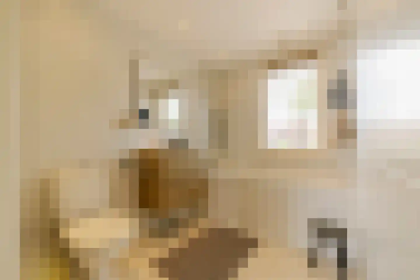 P.C. Hooftlaan 29 Driehuis NH thumbnail 31