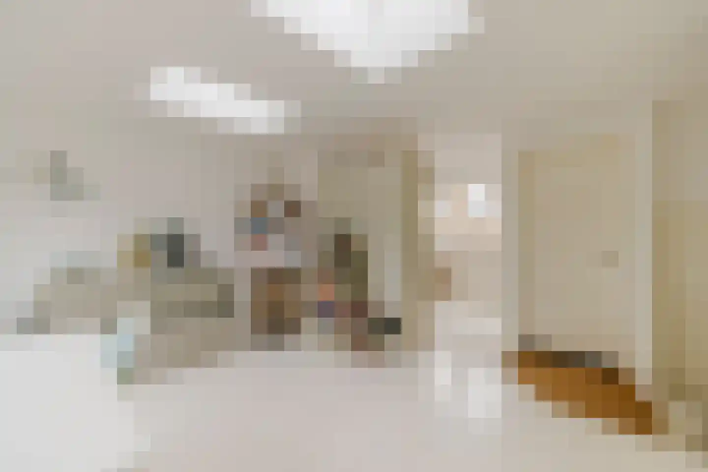 P.C. Hooftlaan 29 Driehuis NH thumbnail 34