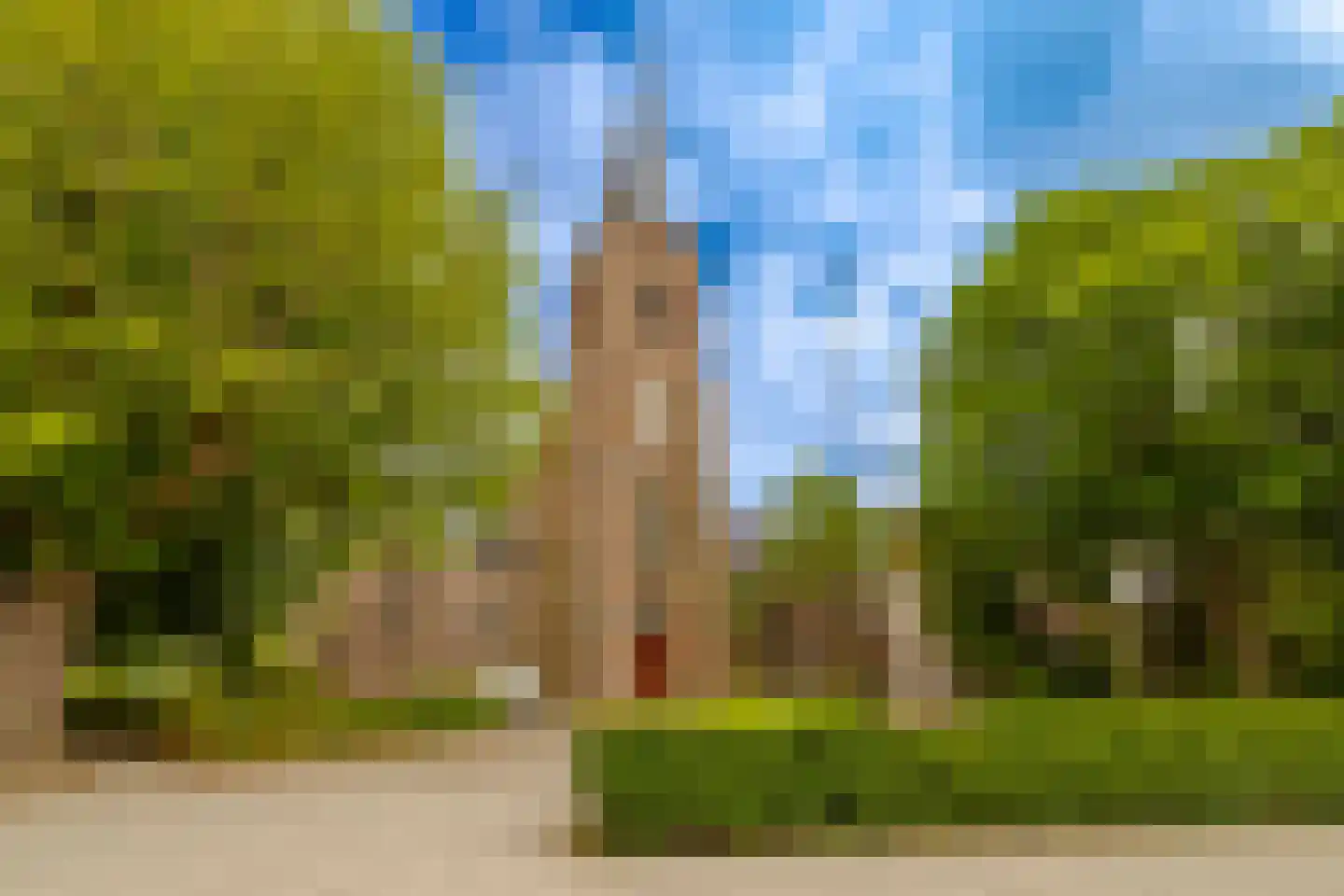 P.C. Hooftlaan 29 Driehuis NH thumbnail 39