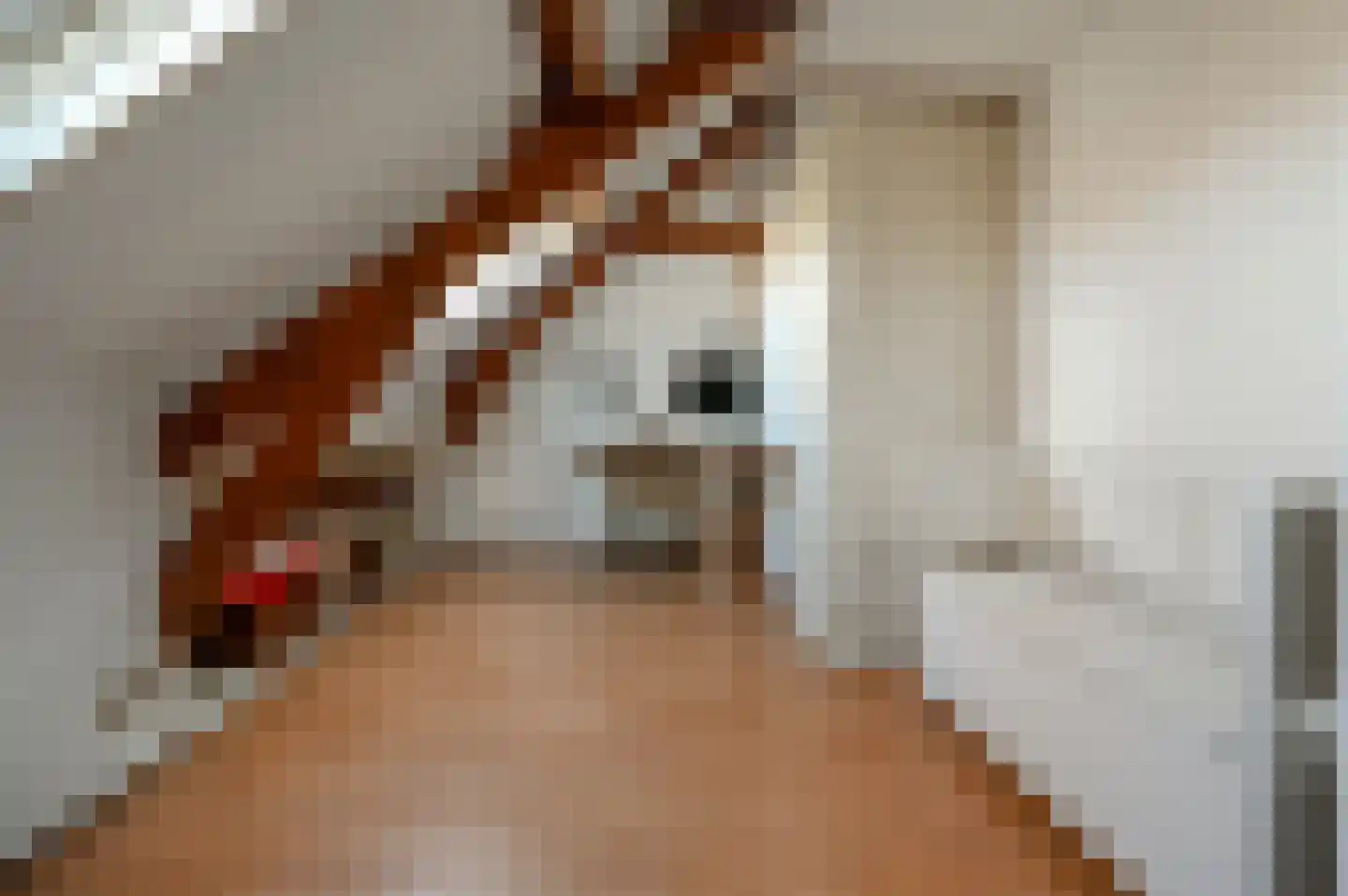 P.C. Hooftlaan 30 Driehuis NH thumbnail 27