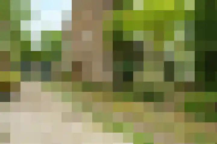 P.C. Hooftlaan 30 Zeist thumbnail 19