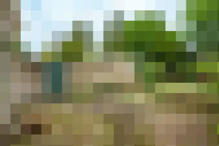 P.C. Hooftlaan 30 Zeist thumbnail 20