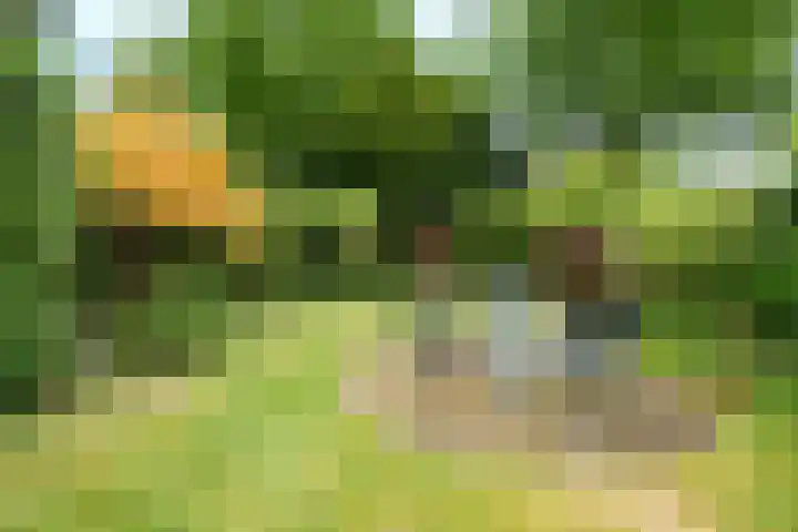 P.C. Hooftlaan 30 Zeist thumbnail 21