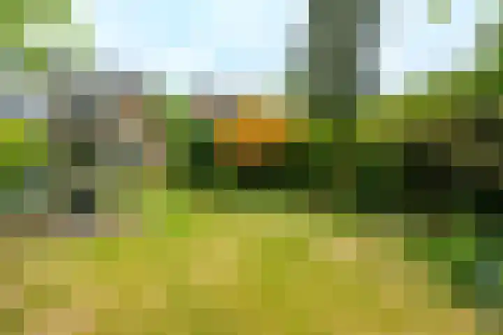 P.C. Hooftlaan 30 Zeist thumbnail 22